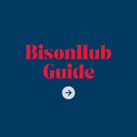 BisonHub guide