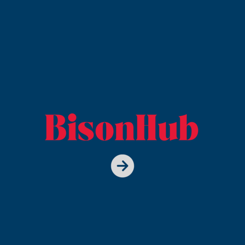Bisonhub