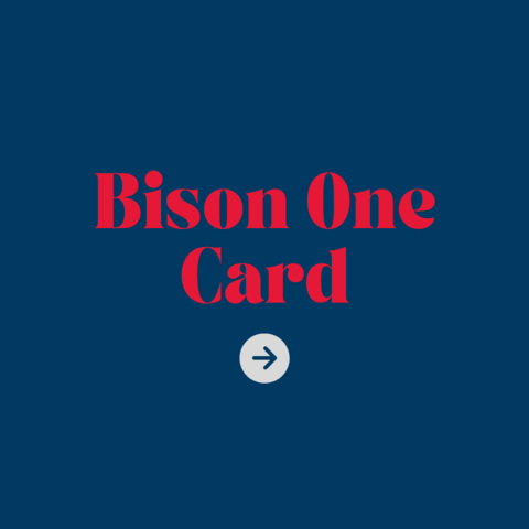 Bison OneCard