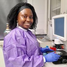 lab